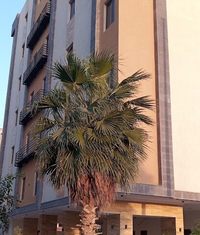 بيوت عقارية شقق تمليك جدة - جدة - +966 55 117 6636