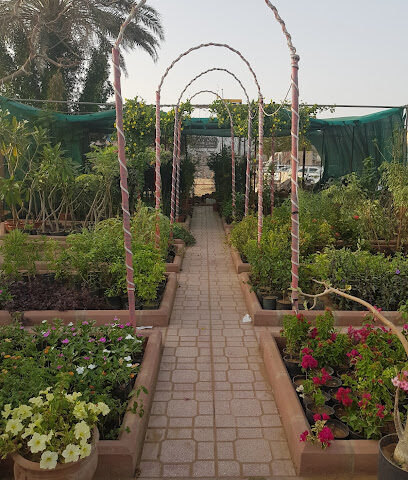 مشتل أنساق الزهور - جدة - +966 55 907 9007