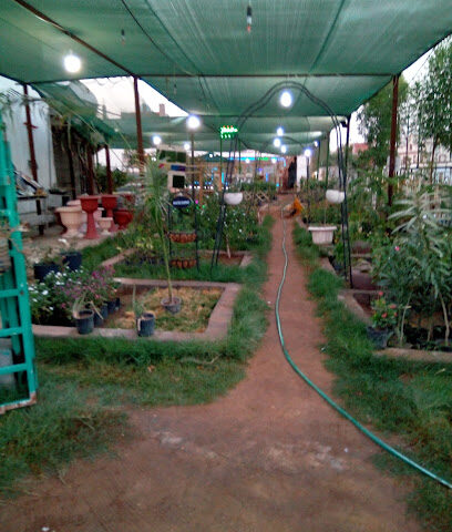 عالم الطيور والنباتات - جدة - +966 56 144 0727