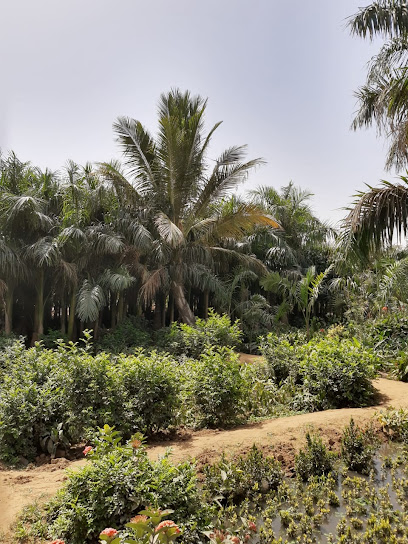 مشتل الأصدقاء - Saudi Arabia|Jeddah 23474|Huda Al Sham Road