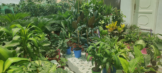 مشتل الشيخ - جدة - +966 54 921 4505