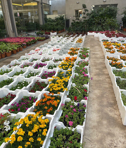 مشاتل البستان - جدة مشاتل البستان - جدة - جدة - +966 50 525 9915