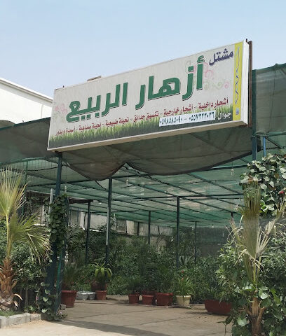 مشتل ازهار الربيع - جدة - +966 55 732 3036