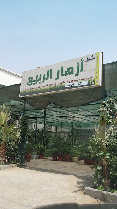 مشتل ازهار الربيع - Saudi Arabia|8209 حي ابرق الرغامة جدة 22272