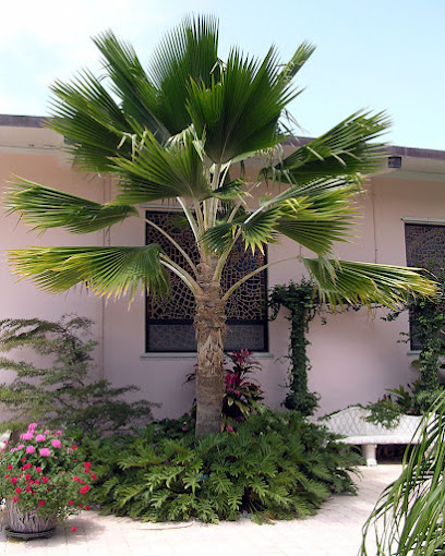 حديقة الؤرود حديقة مكة مشطل القلعة - Saudi Arabia|Jeddah 22389|Old Mecca Al Moukarramah Rd