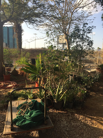 مشتل تلمنس - Saudi Arabia|Jeddah 23326|Al Andalus District|8809 Ismail Abu Daud