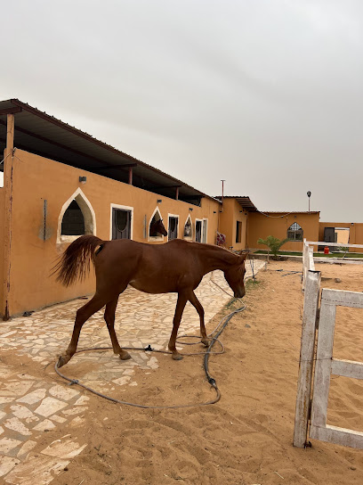 مربط الطويانيات - Saudi Arabia|Buraydah 52233|Al Hadyiah