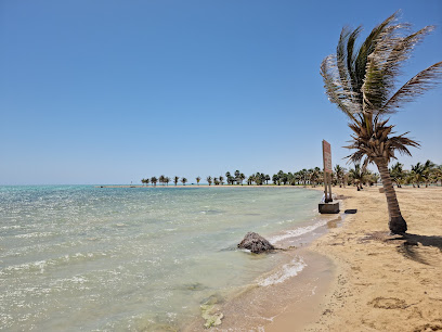 ينبع البحر الهيئه الملكية - ينبع -