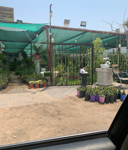 حدائق الريان - سيهات - +966 13 855 9571
